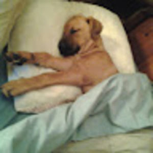 Meet your Posher, April